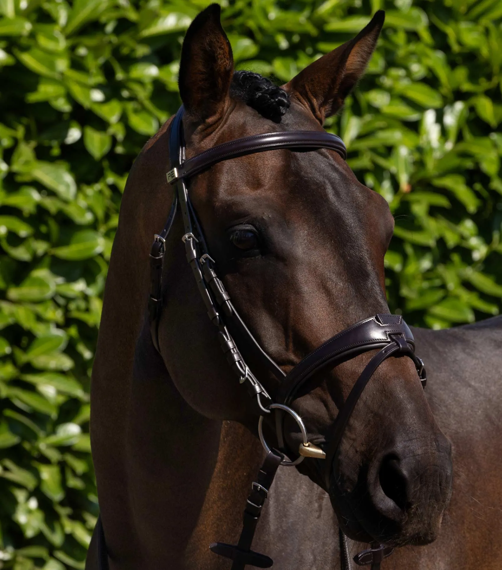 Artana Snaffle Bridle Brown