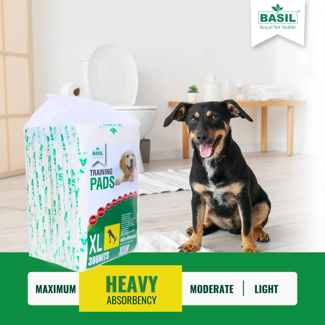 BASIL Dog and Puppy Pee Pads, Heavy Duty Absorbency with Leak-Proof Quick-Dry Design (60x90 Cms)  Extra Large