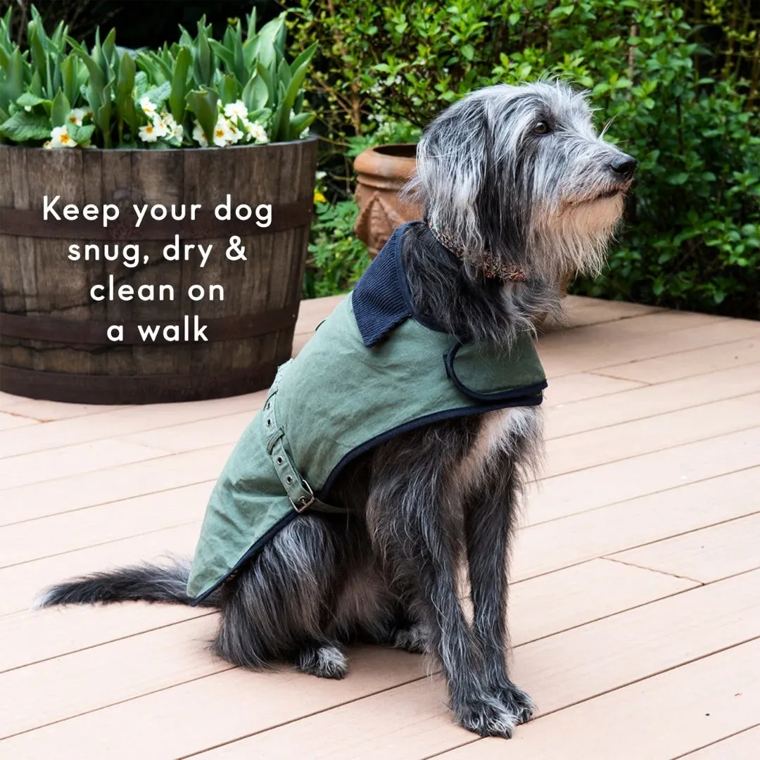 Canine Companion Waxed Cotton Dog Coat Small