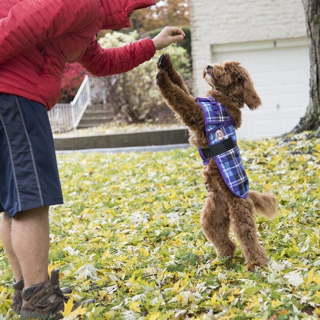 Derby Originals Horse-Tough 1200D Waterproof Ripstop Nylon Winter Dog Coat with Two Year Warranty*