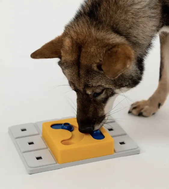 Pawzler Innovative Modular Dog Puzzles (Kaya Without Base)