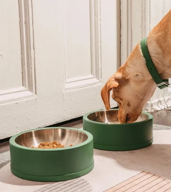 Wild One Nonslip Stainless Steel Dog Bowl (Tan)