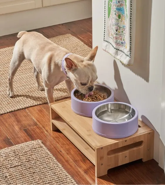 Wild One Nonslip Stainless Steel Dog Bowl (Tan)